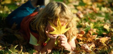 Kids play in autumn park. Children throwing yellow leaves. Child boy with oak and maple leaf outdoor. Fall foliage. Toddler or preschooler in fall autumn nature