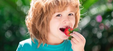 Mutlu çocuk çilek yer. Çocuklar taze organik çilek topluyor.