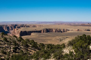 Canyon Ulusal Parkı. Çöl dağı manzarası. Meşhur Amerikan yürüyüş yeri. Kaya kanyonu panoramik manzara
