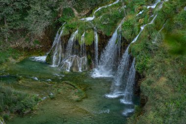 Doğada güzellik, ormanda inanılmaz şelale. Şelale ve gölet. Güzel panoramik derin orman şelalesi. Yeşil ormanlı şelalelere güzel bir manzara. Şelalenin sakin suları.