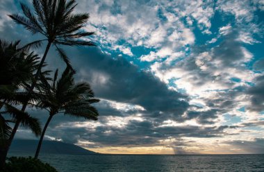 Kum, okyanus, palmiye yaprakları, palmiye ağaçları ve mavi gökyüzü olan tropik deniz plajı. Yaz sahili geçmişi