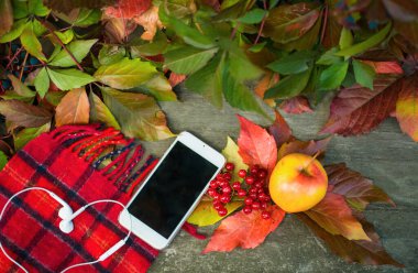 Mobile ile sonbahar arka plan, yaprakları ve kırmızı elma. Sonbaharda hasat kopya alanı ile yaşlı ahşap çerçeve. Mockup mevsimlik ve tatil kartpostal, üstten görünüm