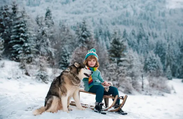Köpek gibi köpekleri olan çocuklar için açık hava oyunları. Mutlu Noel tatili konsepti. Çocuk kışın tadını çıkarıyor, kış ormanlarında kızak gezintisiyle oynuyor.