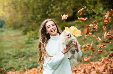 Güzel bir kadın güz parkında küçük bir köpekle eğleniyor. Duygusal destek