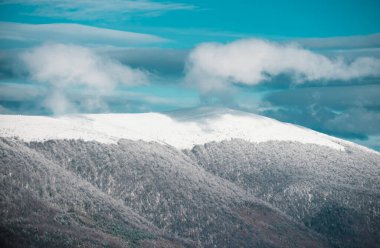Kış manzarası, karlı arka planda buzlu ağaçların kış manzarası. Soğuk ve karlı kış dağları