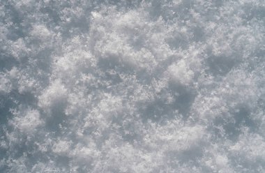 Kar zemini, kar dokusu. Beyaz kar taneleri