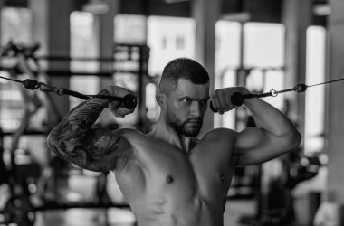 Muscular athletic fit man hard workout fitness in gym. Sport fitness and bodybuilding. Strong muscular doing exercise in the gym. Sexy muscular male body. Fitness man in the gym. Fitness training