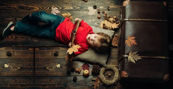 Renkli sonbahar ve kuru sonbahar yaprak. Mutlu çocukluk. Reklam Ajansı. Eğleniyor 3 veya 5 yıllık mutlu bir çocukluk oğlan. Sonbahar zaman moda çocuklar Satılık