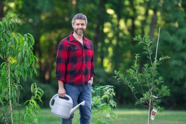 Bahçıvan bahçede meyve ağacıyla ilgileniyor. Adam bitki dikiyor. Bahçedeki çiftçi. Organik meyve tarımı kavramı. Meyve bahçesi. Organik yeşil tarlalar. Ağaçlar büyüyor. Çiftçi bahçıvan