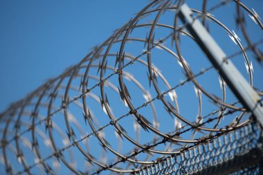 Çitteki dikenli teller. Güvenli bölgenin sınırlarını sınırlayan dikenli teller. Güvenlik, koruma ve sınırlar. Dikenli tel kirpi ve elektrikli çit. Bölge koruma kablosu