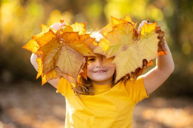 Sonbahar parkında yaprakları olan bir çocuk. Çocuk dışarıda eğleniyor. Sonbaharın tadını çıkarıyorum. Arka planda kal. Sonbahar sonbahar ormanlarında güzel bir sonbahar çocuğunun portresi. Güzel çocuk düşen yapraklarla oynuyor.