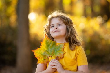 Sonbahar parkında yaprakları olan bir çocuk. Çocuk dışarıda eğleniyor. Sonbaharın tadını çıkarıyorum. Arka planda kal. Sonbahar sonbahar ormanlarında güzel bir sonbahar çocuğunun portresi. Güzel çocuk düşen yapraklarla oynuyor.