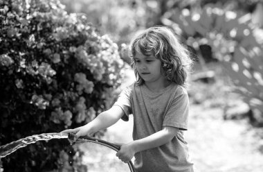 Çocuk bahçede bahçe hortumuyla oynuyor. Komik heyecanlı çocuk arka planda su püskürterek eğleniyor. Yaz çocukları açık hava aktivitesi