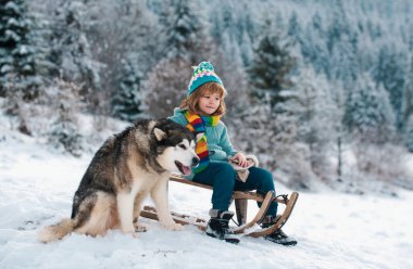 Boy kid sliding with sledge in the winter snow with dog husky. Christmas kids holidays and Happy New Year