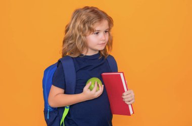 Bilgi toplama günü. Stüdyonun sarı arka planında izole edilmiş bir öğrenci. Okula dönelim. İlkokuldan elinde kitapla komik bir çocuk. Eğitim
