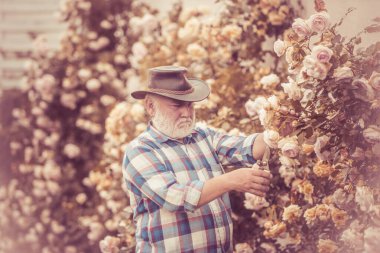 Büyükbaba. Bahçıvanlık hobisi. Köy hayatı. Bahar geldi. Bir şehir bahçesinde kıdemli bahçıvan. Baharda sakallı yakışıklı bir adamın portresi.