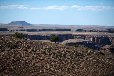 Kanyon panoramik manzarası. Ulusal Park, Arizona. Colorado çöl manzarası