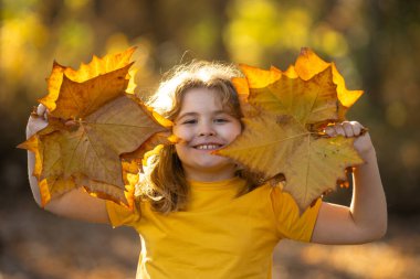 Sonbahar Çocuk Yüzü. Çocuk Sonbahar Sarı Yaprakları 'nı tutuyor. Güzel Sonbahar Parkı 'ndaki küçük çocuk. Çocuklar sonbahar parkında oynarlar. Akçaağaç yaprağı olan çocuk. Düşen yapraklar. Çocuklar sonbaharda yüzleşir. Yakın plan.