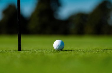 Golf topunu çimenlere yumuşak bir şekilde yaklaştır. Arka planda bulanık çimlerde golf topları
