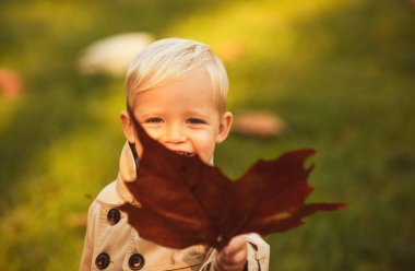 Sonbahar açık havada, parkta ya da ormanda sıcak sonbahar kıyafetleriyle dolaşan güzel mutlu bir çocuğun portresi. Mutlu çocukluk kavramı. Sonbahar çocuk kavramı, akçaağaç yaprakları bırakır