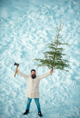 Genç oduncu ormandaki Noel ağacını kesiyor. Genç oduncu kış portresi. Sakallı bir adam eve Noel ağacı taşıyor. Kış parkında Noel ağacı olan bir keresteci.