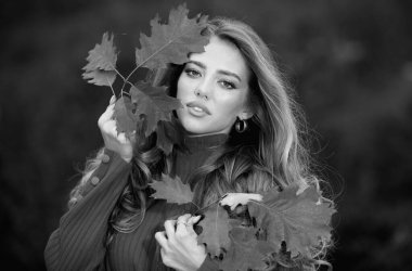 Sonbaharda güzel bir kız. Genç kadın sonbaharda sarı sonbahar yaprakları topluyor. Güzel kadın, sonbahar sarısı yaprağını tutar ve yüzüne düşer. Sonbahar döneminde şehvetli bir kadının portresi.