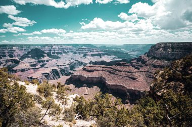 Grand Canyon Ulusal Parkı, Kuzey Rim. Canyon Ulusal Parkı. Utah 'taki Red Rocks Kanyonu. Doğa manzarası