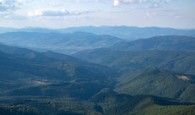 Karpat Dağları ve ağaç arka planı. Dağlar manzaralı. Alp çayırları ve güzel dağlar. Orman geçmişi. Dağ manzarası. Dağın turistik manzarası. Doğa arkaplanı
