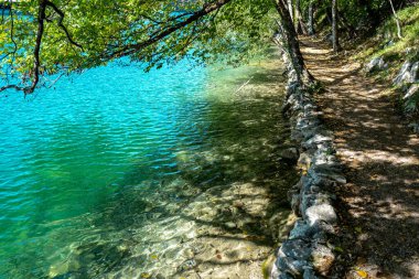 Arka planda nehrin sakin şeffaf suları. Güzel doğa gölü. Güneşli bir günde, berrak bir göl suyu yüzeyinden yansıyan manzara. Ormanda sakin bir nehir