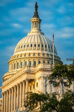 Kongre Amerika. Washington DC Kongre Binası. Amerikan Kongre Binası. Birleşik Devletler Başkenti. Washington, ABD simgesi. Yargıtay. Washington anıtı. Washington Şehri
