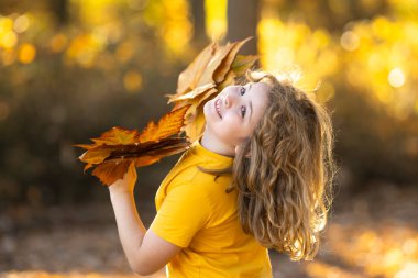 Sonbahar sonbaharı ve güzel çocuk portresi. Sonbahar portakal yapraklı küçük çocuk, açık hava portresi. Sonbahar parkında güz yapraklı komik çocuk suratı. Çocuk tutacağı düşen yapraklar. Çocukların açık hava portresi