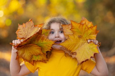 Sonbahar parkında yaprakları olan sevimli sarışın çocuk. Çocuk dışarıda eğleniyor. Sonbaharın tadını çıkarıyorum. Arka planda kal. Sonbahar sonbahar parkında güzel bir sonbahar çocuğunun portresi. Düşen yapraklarla oynayan çocuk