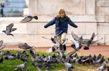 Mutlu çocuk kuşları kovalıyor, sonbahar günü koşuyor. Çocuk güvercinler için koşuyor. Koşan çocuklar konsepti. Mutlu bir çocukluk. Mutlu bir çocuk parkta güvercin kovalıyor. Mutlu Çocuk güvercinlerle koşar. Kaygısız Çocuk