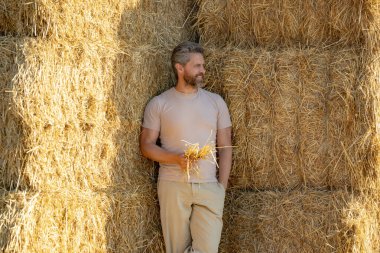 Çiftçi saman balyalarının yanında duruyor. Çiftçi başarılı bir hasattan sonra samanı inceliyor. Buğday tarlasında çiftçi Hasat Saman 'dan sonra. Hasat edilen samanların üzerinde çiftçi portresi.