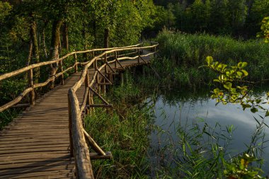 Sakin göl yansıması. Arka planda gölün sakin şeffaf suları. Doğa. Temiz bir göl suyundan yansıyan manzara. Güzel rengarenk bir yaz baharı Gölü doğal manzara