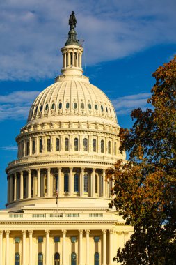 Washington D.C. Kongre Binası. Kongre. Amerikan Kongre Binası. Birleşik Devletler Başkenti. Washington, ABD simgesi. ABD Yüksek Mahkemesi. Washington anıtı. Washington Şehri