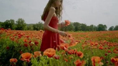 Çiçekli bahar gelincik tarlasında kırmızı elbiseli mutlu bir kadın. Çiçekli haşhaş tarlası. Gelincik çiçekli romantik bahar kadınının portresi. Bahar güzellik modeli gelincik tarlasında, bahar zamanı
