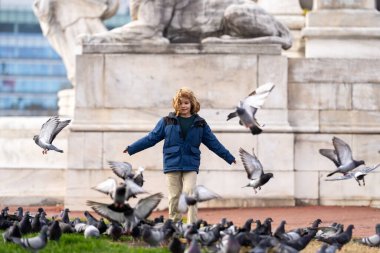 Happy child chasing birds, running on autumn day. Child run for pigeons. Running kids concept. Happy childhood. A Happy child chases running pigeons in park. Happy Child run with doves. Carefree Kid clipart