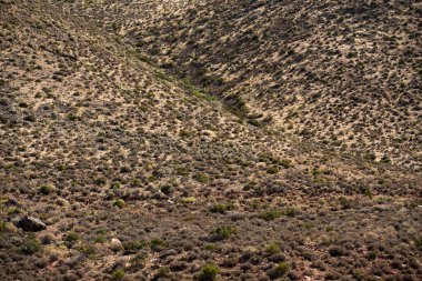 Çöl Vadisi. Kanyonun kızıl kayası. Arizona ve Utah Çölü