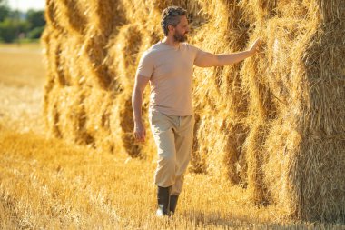 Hasat edilen samanların üzerinde çiftçi portresi. Asyalı çiftçi saman balyalarını stokluyor. Çiftçi saman balyalarının yanında duruyor. Başarılı bir hasat. Saman balyaları istiflendi