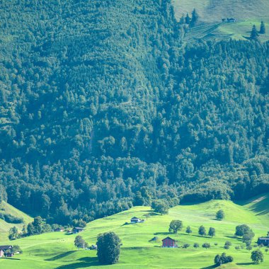 Dağlar ve ağaç arka planı. Dağlar manzaralı. Alp çayırları ve güzel dağlar. Orman geçmişi. Yeşil dağ manzarası. Dağın panoramik manzarası. Doğa arkaplanı