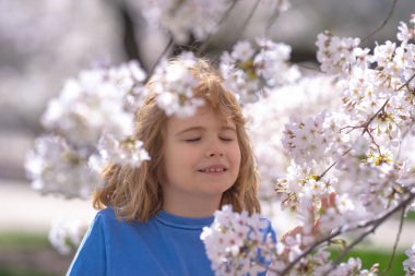 Çocuklar baharda çiçek takınırlar. Güzel bir bahar gününde kiraz bahçesinde çiçek açan bir çocuk. Bahar çiçekleri arasında mutlu bir çocuk. Çiçekli bahçedeki çocuk. Çiçek açan ağacın yanındaki çocuk portresi.