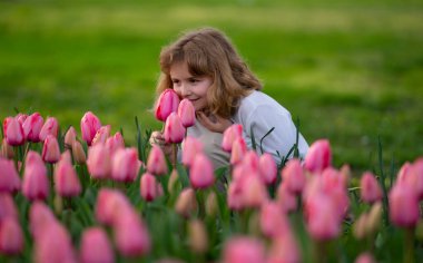 Çocuk pembe lale çiçeğini tutuyor. Lale bahçesindeki çocuk. Küçük çocuk bahar günü Blooming lale tarlasında oynuyor. Bahar çocuğu suratı. Bahar parkında lale kokusu alan bir çocuk. Çocuklar bahar konsepti