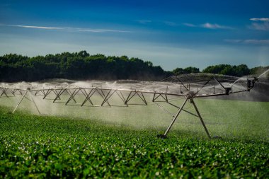 Sulama ekipmanı. Amerikan çiftliği için sulama sistemi. Fıskiye sulama sistemi. Çiftlik arazisi için sulama sistemi. Çimen fıskiyesi sulama alanı. Sulama tesislerinde kullanılan havadan çekilmiş bir fotoğraf.