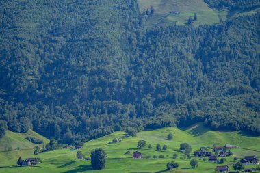 Dağlar ve ağaç arka planı. Dağlar manzaralı. Alp çayırları ve güzel dağlar. Orman geçmişi. Dağ manzarası. Dağın panoramik manzarası. Doğa arkaplanı