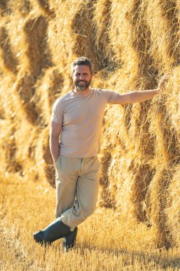 Güneşli çiftlikteki saman balyalarında erkek çiftçi. Buğday tarlasında çiftçi Hasat Saman 'dan sonra. Hasattan sonra ekinler. Çiftlik yaşam tarzı. Ahır, Hay Rolled Bales. Çiftlikte Saman. Çiftlik hayvanları çiftliği