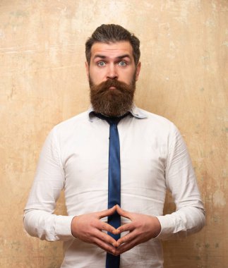 Gömlekli ve kravatlı yakışıklı adamın portresi. Hippi bir modelin vesikalık fotoğrafı. Erkek yüzü. Sakallı yakışıklı adam. Kendine güvenen erkek model. Adam gururlu görünüyor. Çekici bir adamın yakın çekim yüzü. İşadamı