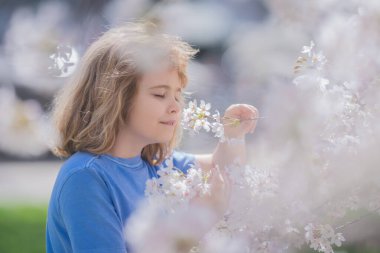 Çocuklar baharda çiçek takınırlar. Güzel bir bahar gününde kiraz bahçesinde çiçek açan bir çocuk. Bahar çiçekleri arasında mutlu bir çocuk. Çiçekli bahçedeki çocuk. Çiçek açan ağacın yanındaki çocuk portresi.