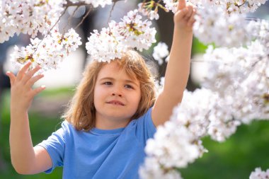 Çocuklar baharda çiçek takınırlar. Güzel bir bahar gününde kiraz bahçesinde çiçek açan bir çocuk. Bahar çiçekleri arasında mutlu bir çocuk. Çiçekli bahçedeki çocuk. Çiçek açan ağacın yanındaki çocuk portresi.