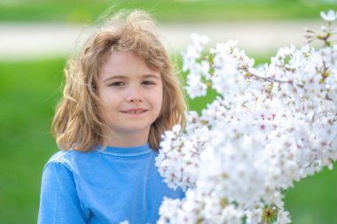 İlkbahar. Bahar bahçesinde bir çocuk. Çiçek açan bir ağacın altındaki çocuk. Çiçek parkındaki çocuk. Bahar bahçesinde çocuk oyunu. Çiçek açan kiraz ağacının yanındaki çocuklar. Bahar çiçekleri arasında mutlu bir çocuk